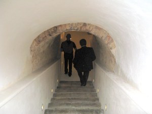 down the cellar