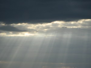 JPEG Image (53134)