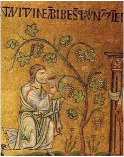 noah planting grapes