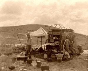 cowboycook
