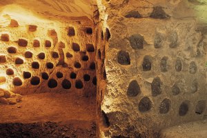 מערות גידול יונים