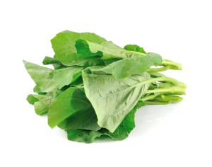 slide_279361_2074409_free